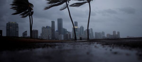 Irma in Florida - Sputnik Afrique