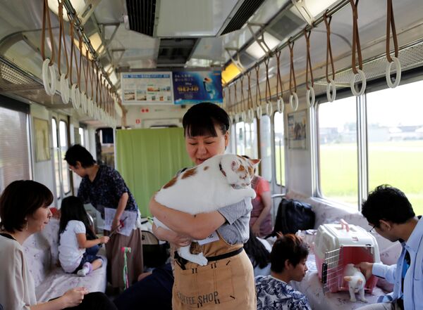Un train à chats au Japon - Sputnik Afrique