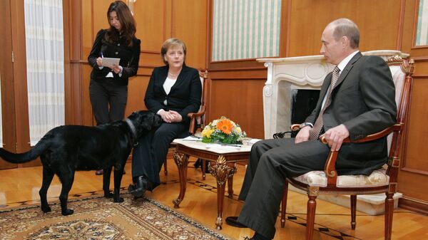 Vladimir Poutine réitère ses excuses à Merkel pour l'avoir effrayée avec son chien