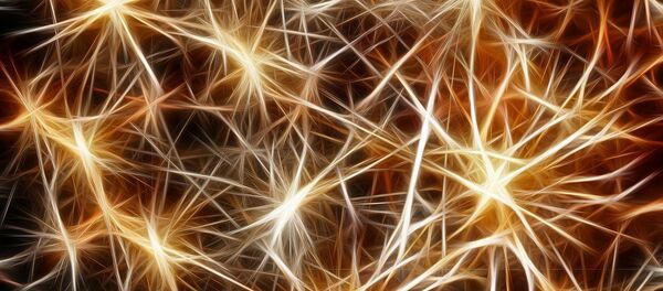 Neurones - Sputnik Afrique