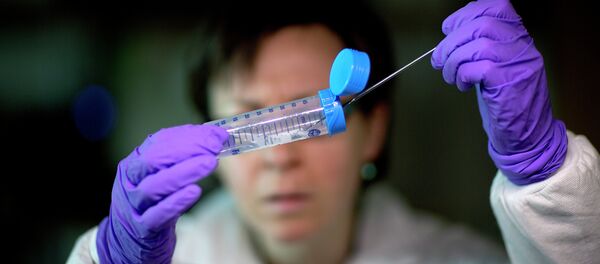 Des bactéries - Sputnik Afrique