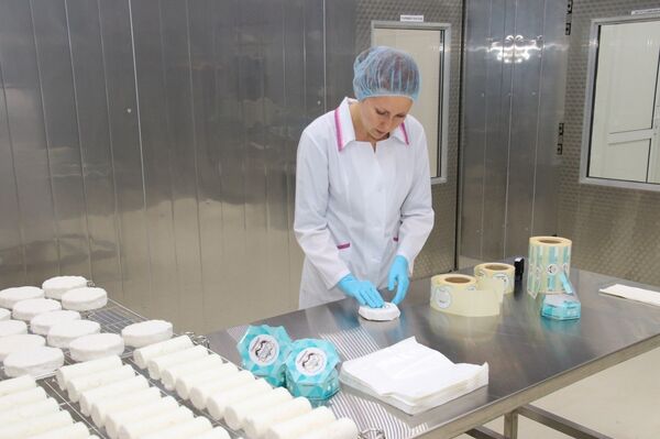 UGMK-Agro usine de fabrication de fromage de chèvre dans l'Oural - Sputnik Afrique