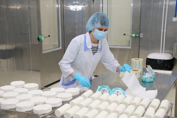 UGMK-Agro usine de fabrication de fromage de chèvre dans l'Oural - Sputnik Afrique