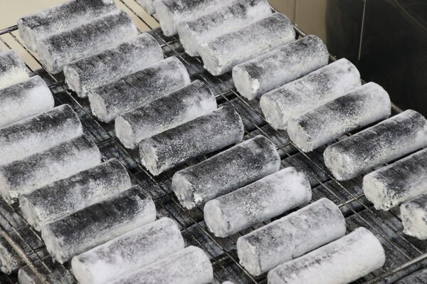 UGMK-Agro usine de fabrication de fromage de chèvre dans l'Oural - Sputnik Afrique