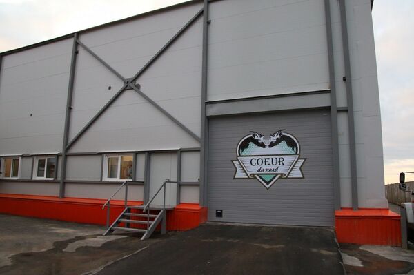 UGMK-Agro usine de fabrication de fromage de chèvre dans l'Oural - Sputnik Afrique