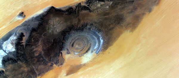 «l'œil de l'Afrique» - Sputnik Afrique