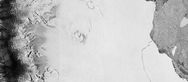 L'iceberg géant A68 qui s'est détaché de la plateforme Larsen-C en Antarctique - Sputnik Afrique