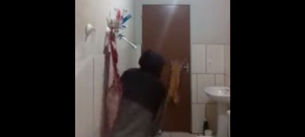 Un ado lance son chat à la chasse au rat: une débandade épique… - Sputnik Afrique