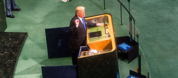 Заседание Генеральной Ассамблеи ООН - Sputnik Afrique