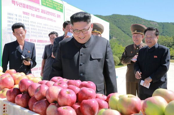 Kim Jong-un visite une exploitation fruitière dans la province du Hwanghae du Sud - Sputnik Afrique