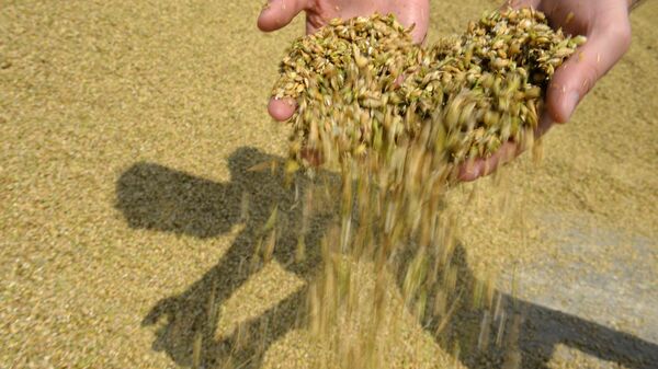 La Russie partante pour la livraison gratuite de blé à l'Afrique