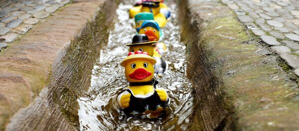 jacuzzi sur roues - Sputnik Afrique