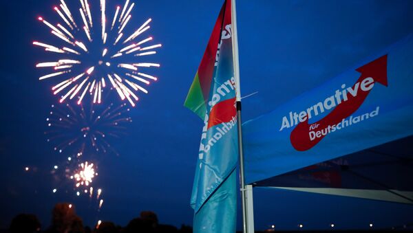 Germany's far-right Alternative for Germany AfD party burn a private fireworks during an election campaign tour by ship on the river Rhine near Krefeld, western Germany, September 4, 2017. - Sputnik Afrique