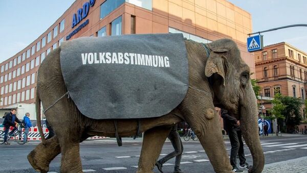 Un éléphant dans les rues de Berlin - Sputnik Afrique