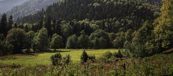 Caucase russe - Sputnik Afrique