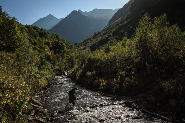 La réserve naturelle et biosphérique du Caucase - Sputnik Afrique