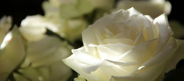 fleurs - Sputnik Afrique