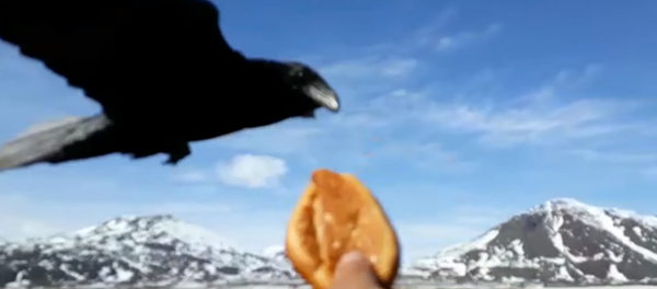 Ce mendiant n’a pas voulu s’envoler sans rien - Sputnik Afrique