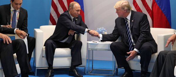 Президент РФ В. Путин принимает участие в саммите Группы двадцати в Гамбурге Президент РФ В. Путин принимает участие в саммите Группы двадцати в Гамбурге - Sputnik Afrique