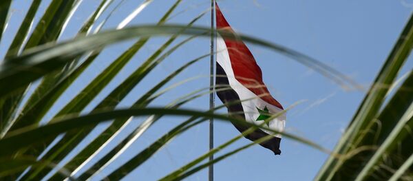 Syrie - Sputnik Afrique