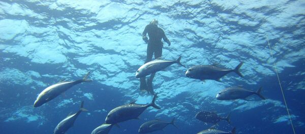 le plongeur - Sputnik Afrique