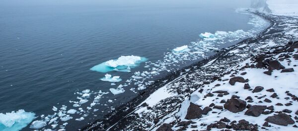 île arctique île arctique - Sputnik Afrique
