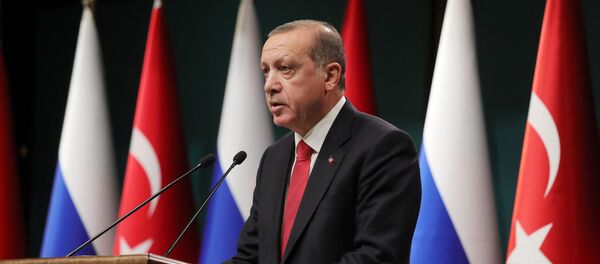 Визит президента РФ В. Путина в Турцию - Sputnik Afrique