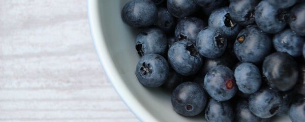 Les myrtilles - Sputnik Afrique