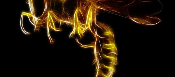 abeille - Sputnik Afrique