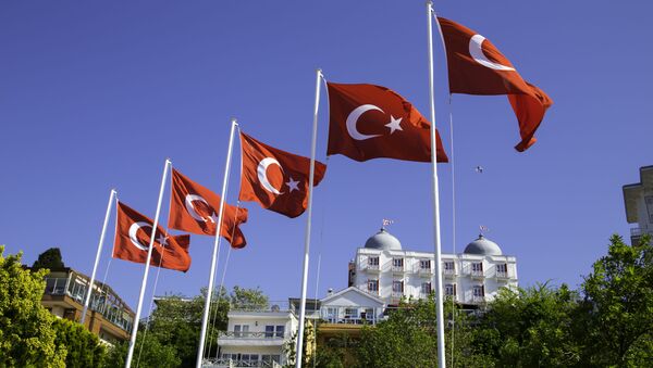 Türkische Flaggen - Sputnik Afrique