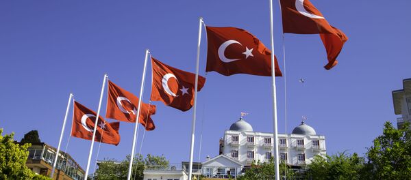 Türkische Flaggen - Sputnik Afrique