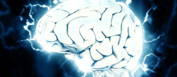 cerveau cerveau - Sputnik Afrique