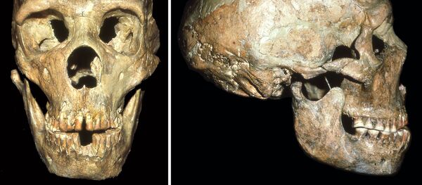 Череп глухого неандертальца, найденный в пещере Шанидар на севере Ирака - Sputnik Afrique