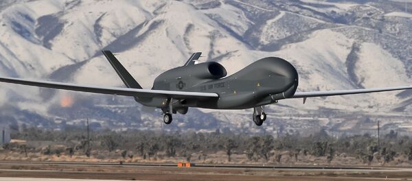 Global Hawk - Sputnik Afrique