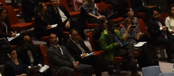 Conseil de sécurité de l'Onu - Sputnik Afrique