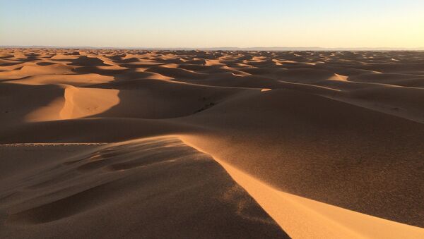 le désert arabique - Sputnik Afrique