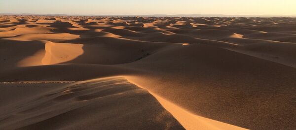 le désert arabique - Sputnik Afrique