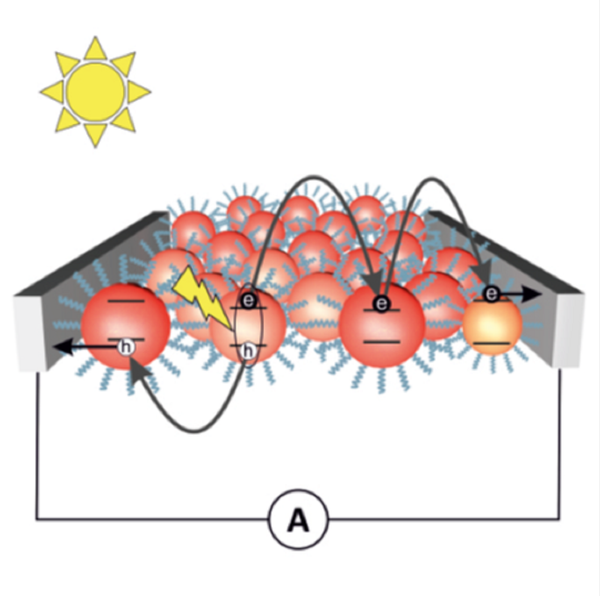 Représentation schématique du condensat de points quantiques et du processus de transfert de charge entre les nanocristaux voisins. Représentation schématique du condensat de points quantiques et du processus de transfert de charge entre les nanocristaux voisins. - Sputnik Afrique