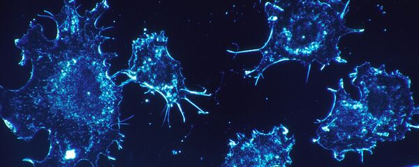 Células de cáncer - Sputnik Afrique