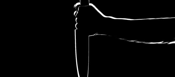 Couteau - Sputnik Afrique