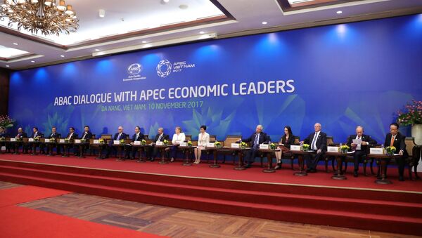Sommet de l'APEC au Vietnam - Sputnik Afrique