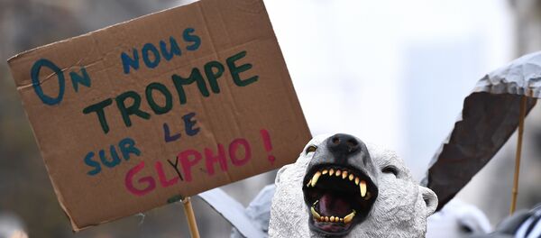 An activist from E.Z.L.N - Ensemble Zoologique de Liberation de la Nature (Zoological Ensemble for Nature's Liberation) holds a cardboard reading we are being deceived (on Glyphosate's safety) during a demonstration against the weed-killer glyphosate and US agrochimical company Monsanto in front of the Justice Palace in Brussels where nine of their activists are facing justice after an action against pesticide, on November 9, 2017. - Sputnik Afrique