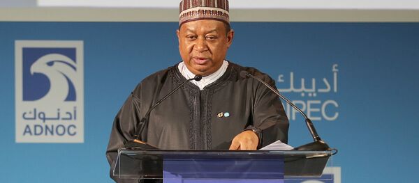 Mohammed Barkindo - Sputnik Afrique