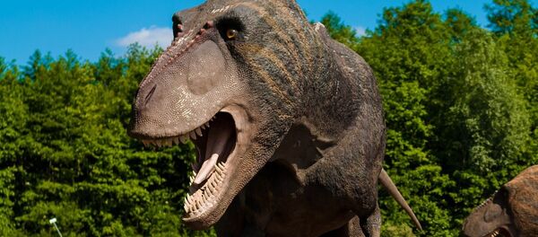 Image d'illustration - Sputnik Afrique