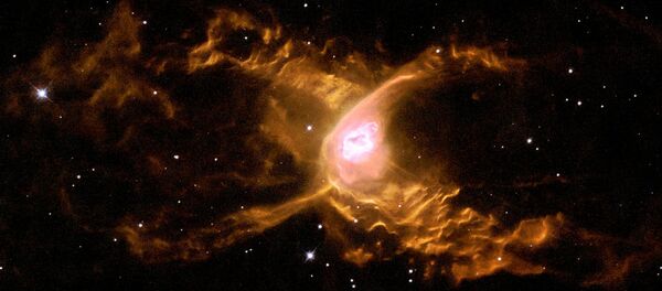 naine blanche - Sputnik Afrique