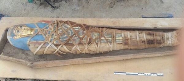 Des archéologues russes ont trouvé une nouvelle momie et un sarcophage en Egypte - Sputnik Afrique