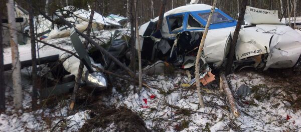 Crash de l'avion l-410 dans le Kraï de Khabarovsk - Sputnik Afrique