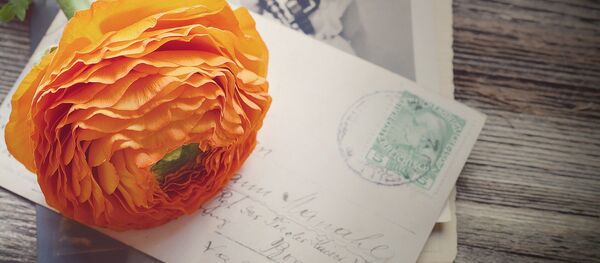 souvenirs - Sputnik Afrique