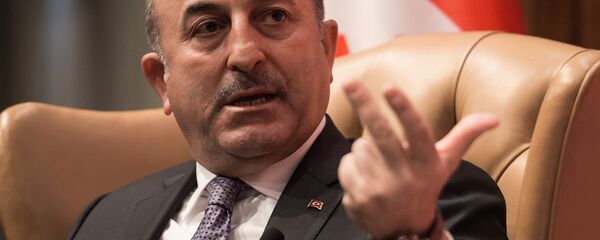 Mevlut Cavusoglu - Sputnik Afrique
