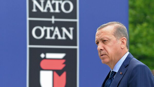  Recep Tayyip Erdogan  - Sputnik Afrique